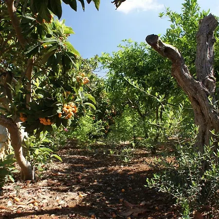 Country house Giardini Romeo La Melia Mazara del Vallo