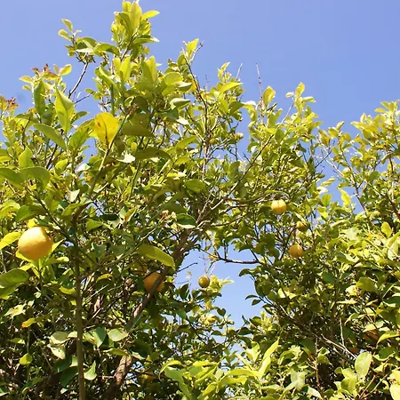 Giardini Romeo La Melia * Mazara del Vallo