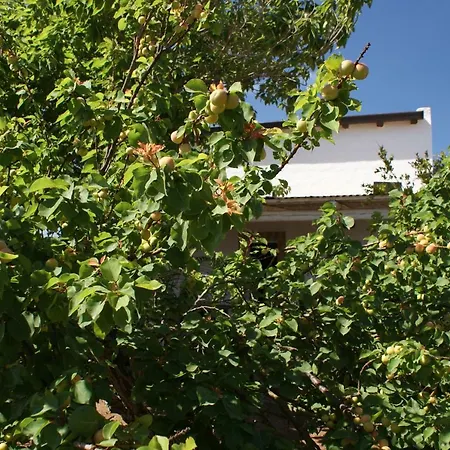 Giardini Romeo La Melia Mazara del Vallo