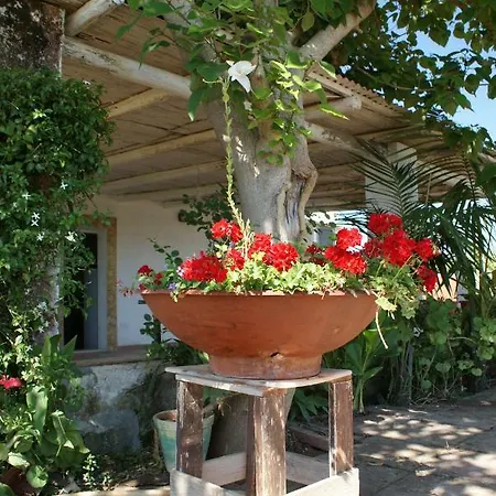 Country house Giardini Romeo La Melia Mazara del Vallo