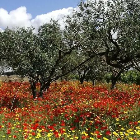 Giardini Romeo La Melia Country house *